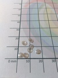 Flat round Sequins