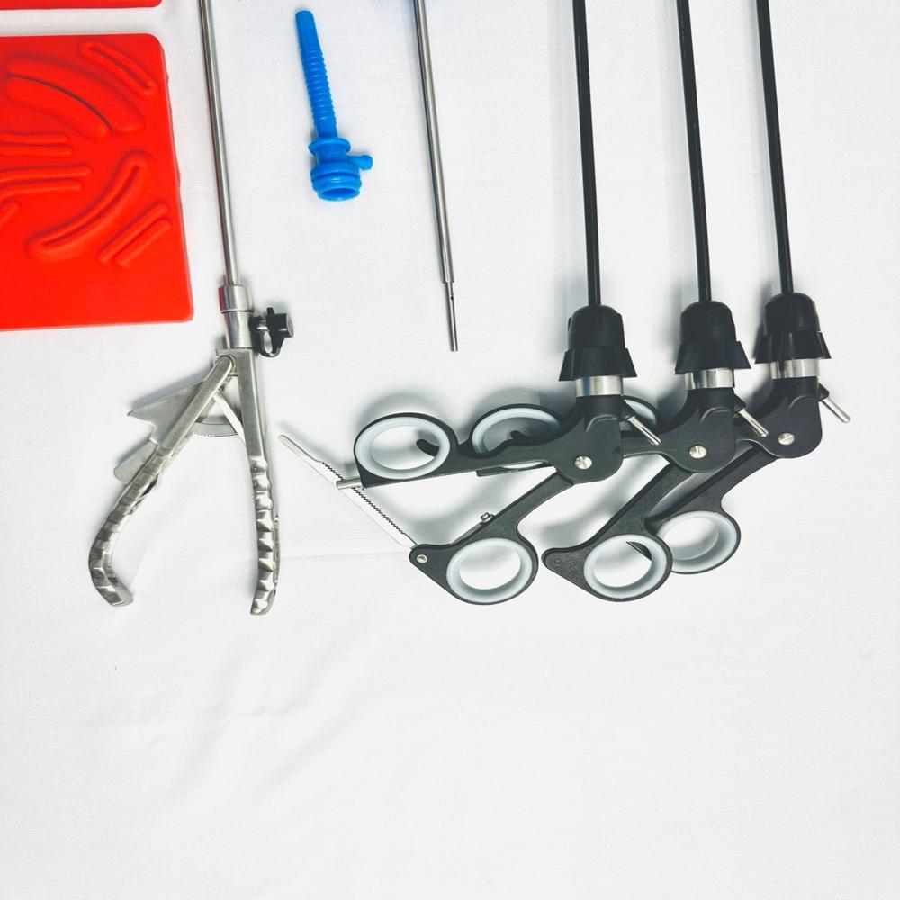 Turtle Shape Laparoscopic Endo Trainer With Basic Training Instruments Set