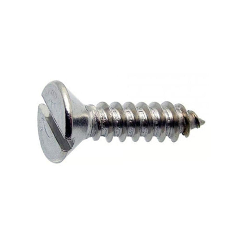 Ss Self Tapping Screw