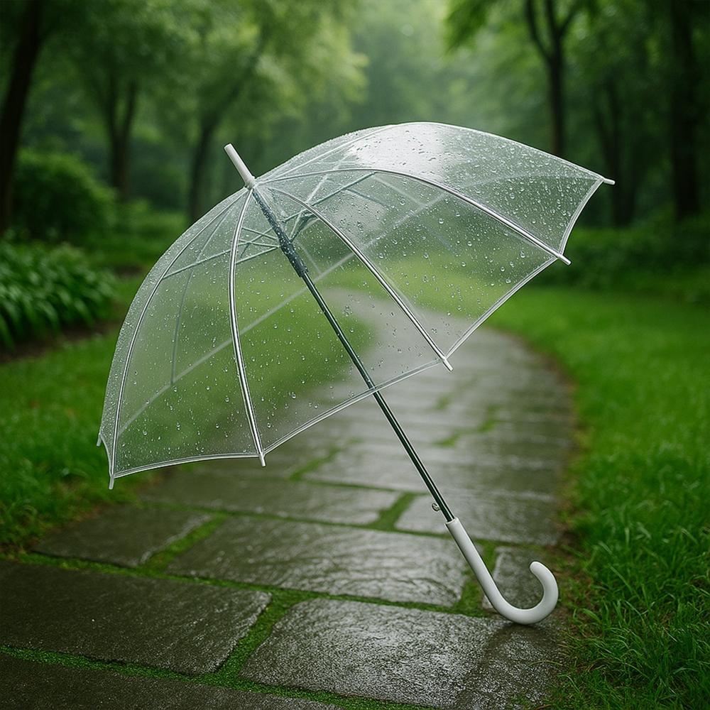 8573 Premium Transparent Dome Umbrella with Curved Handle (1 Pc)