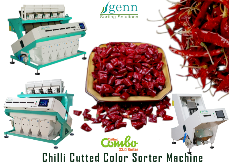 Cutted Chilli Color Sorter - Accuracy: 99.9 %