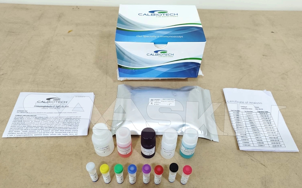 Calbiotech Immunoglobulin E (IgE) ELISA