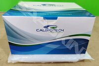 Calbiotech dsDNA IgG ELISA
