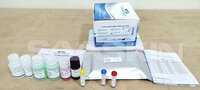 Calbiotech dsDNA IgG ELISA
