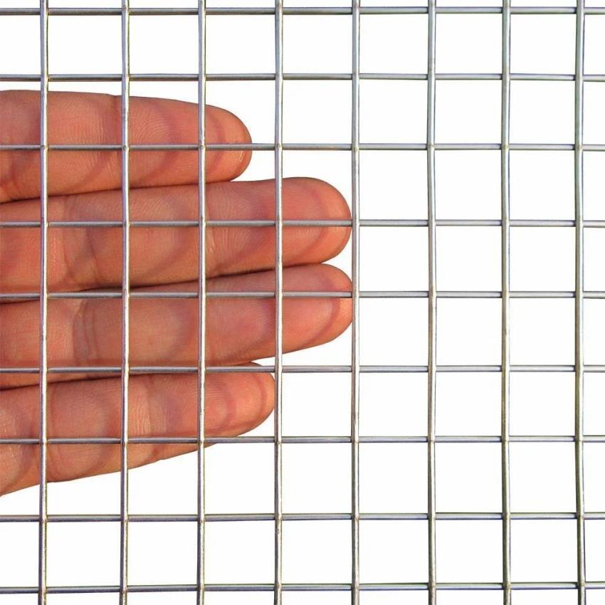 SS Welded Mesh