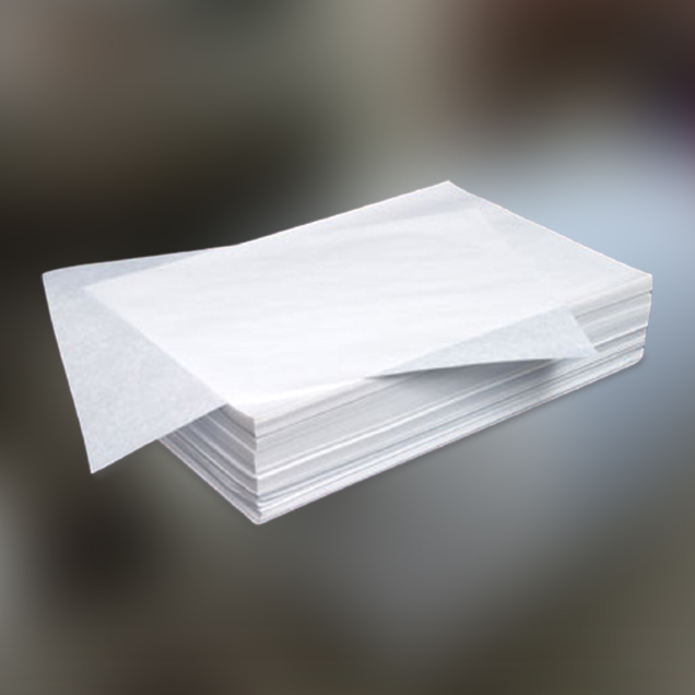 PE Coated Duplex Board