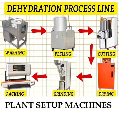 Vegetable Dehydration Plant