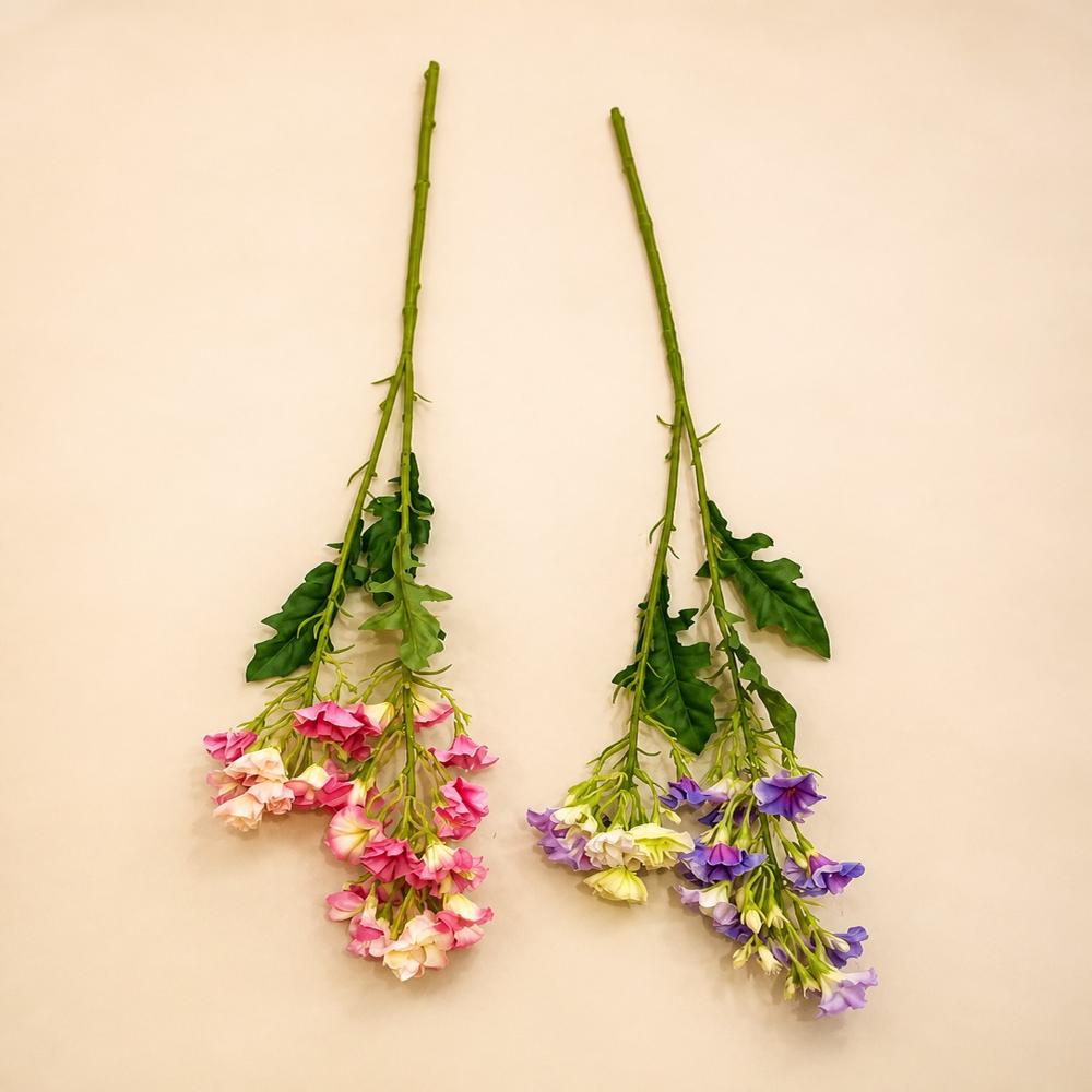 Nature Grace - Color: Multicolour