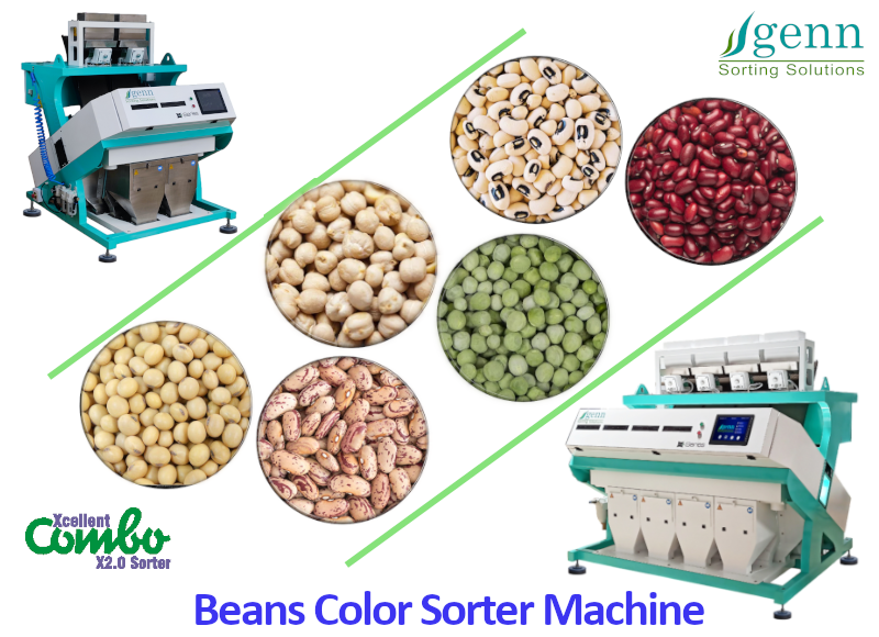 Black Beans Color Sorter - Accuracy: 99.9 %