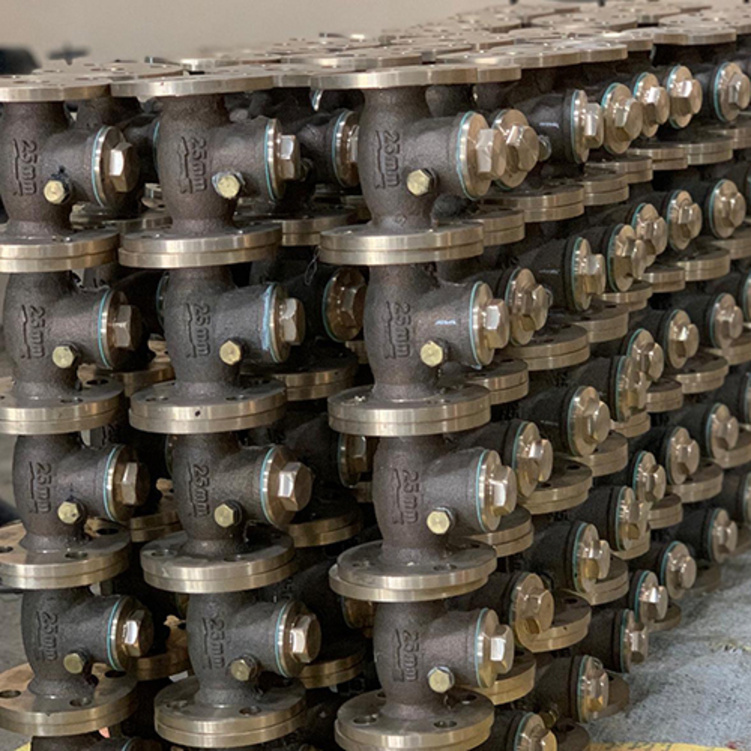 Bronze Swing Check Valve By Varuna Engineering Company