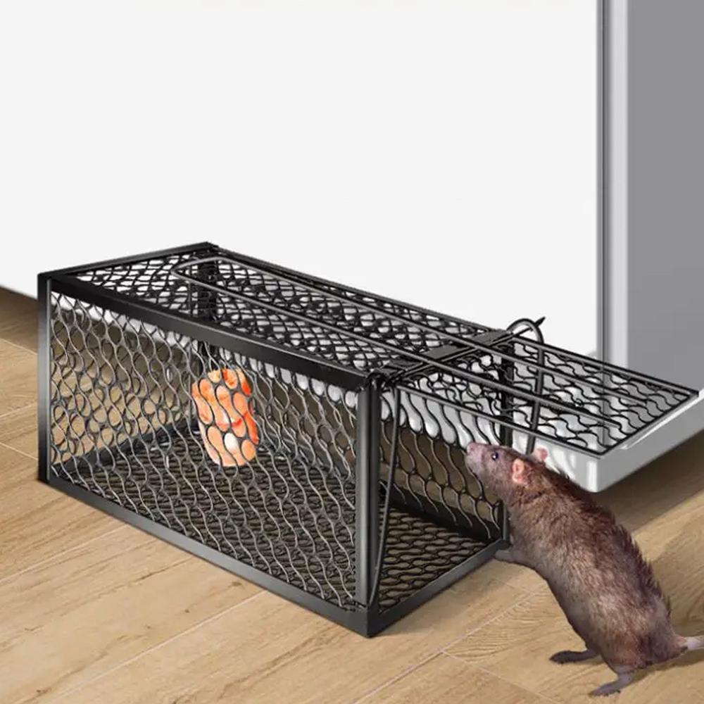 Live Mouse Trap  Easy Catch & Release Cage Mice, Squirrels, Voles & Hamsters