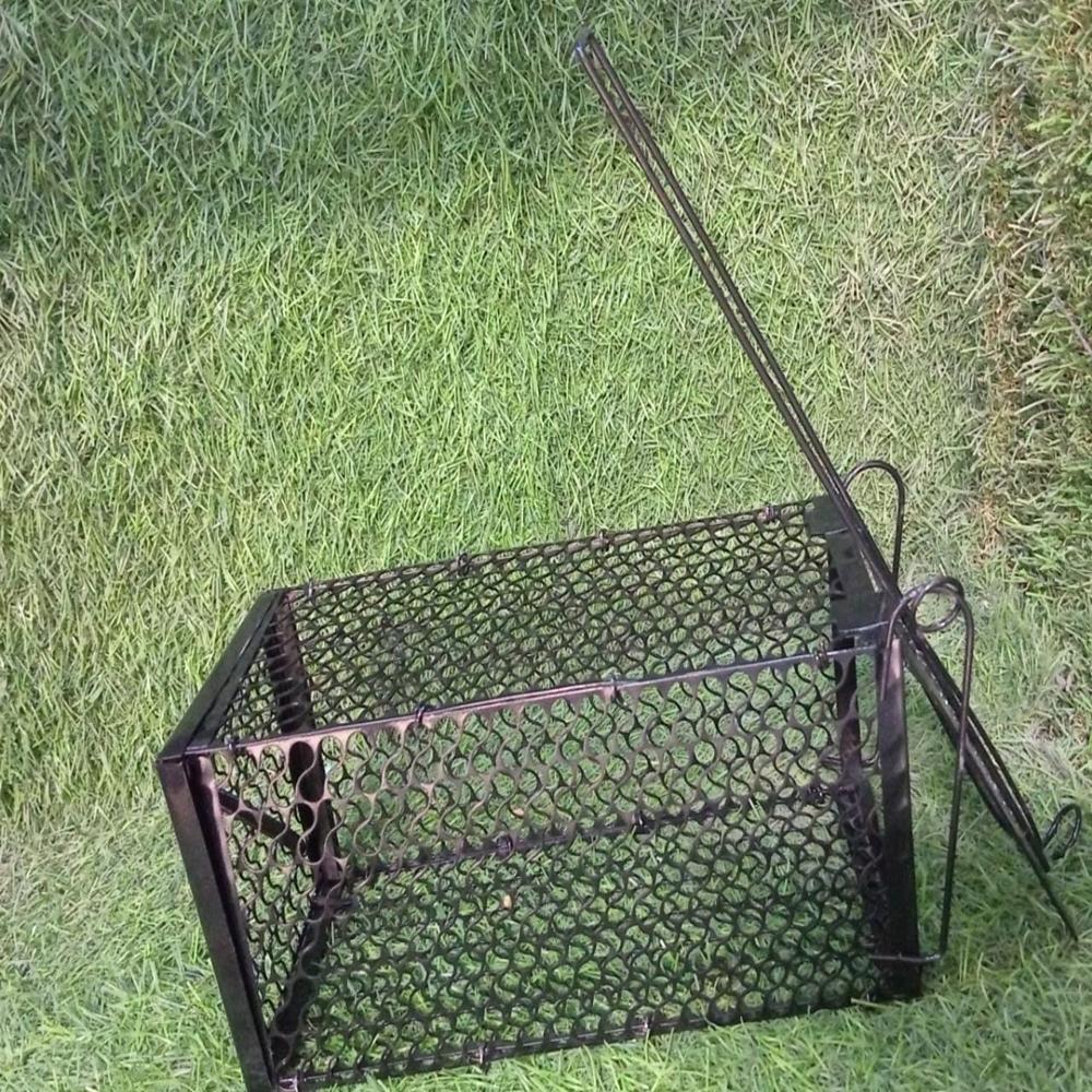 Live Mouse Trap  Easy Catch & Release Cage Mice, Squirrels, Voles & Hamsters