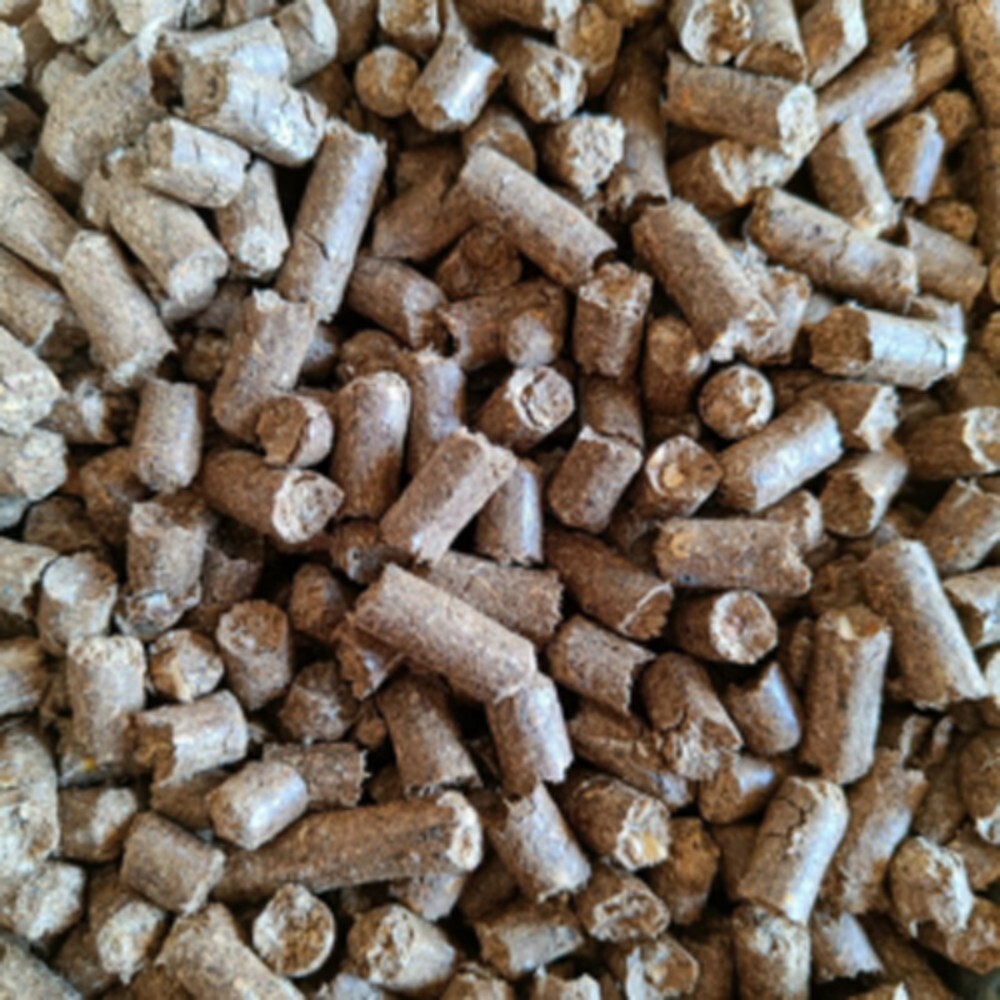 Sarvotam Dan cattle feed