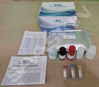 Chlamydia trachomatis IgA ELISA