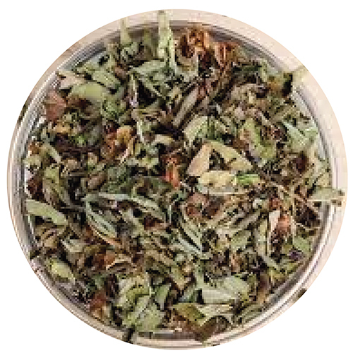 Tulsi Leaves