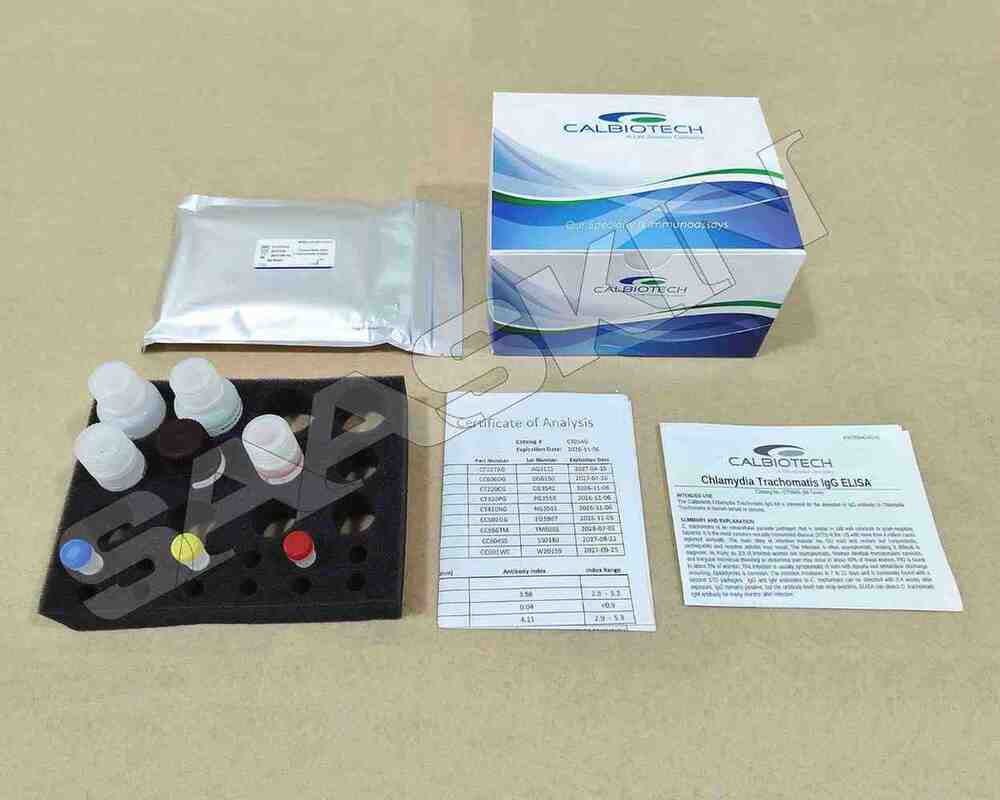 Chlamydia Trachomatis Igg Elisa - Plastic, Glass, Chemicals, 96 Wells | High Sensitivity, Portable, One-time Use Diagnostic Kit