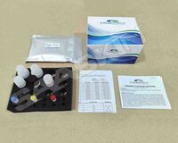 Chlamydia trachomatis IgG ELISA