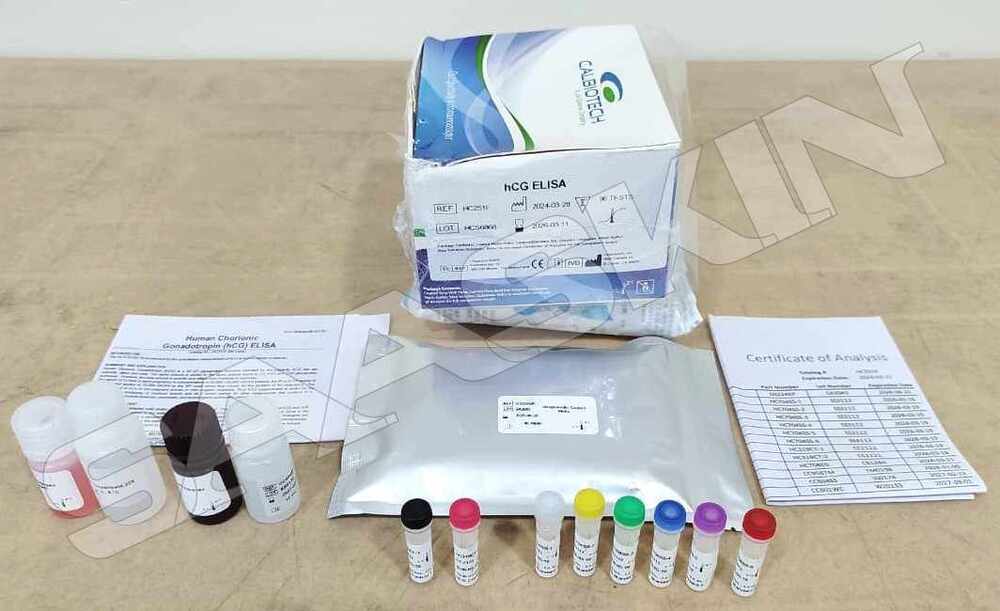 Calbiotech hCG ELISA