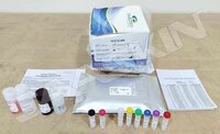 Calbiotech hCG ELISA