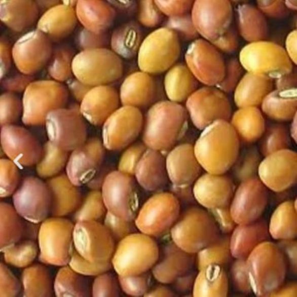 Toor dal