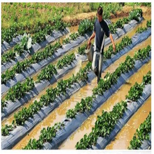 Raw Material Compound Mulch Film