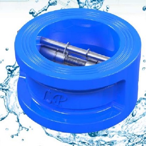 Dual Plate Check Valve