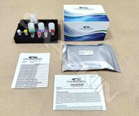 Calbiotech Cortisol ELISA