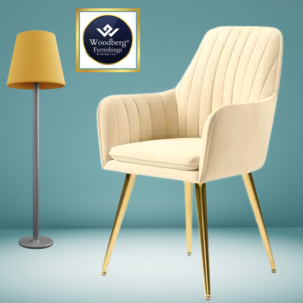 COmfortable Dining Chairs