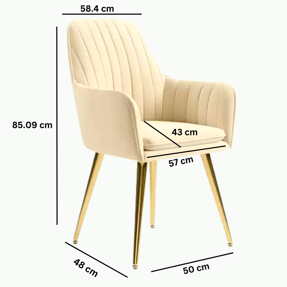 COmfortable Dining Chairs