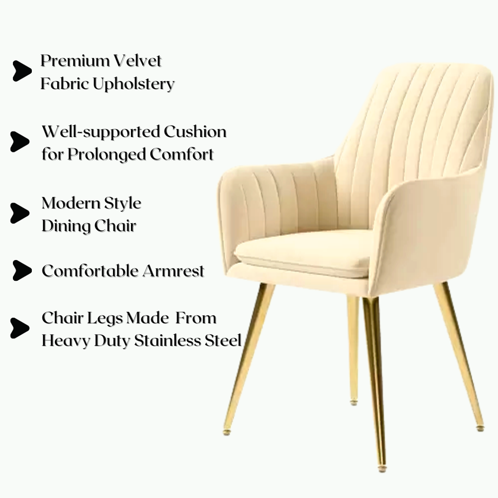 COmfortable Dining Chairs