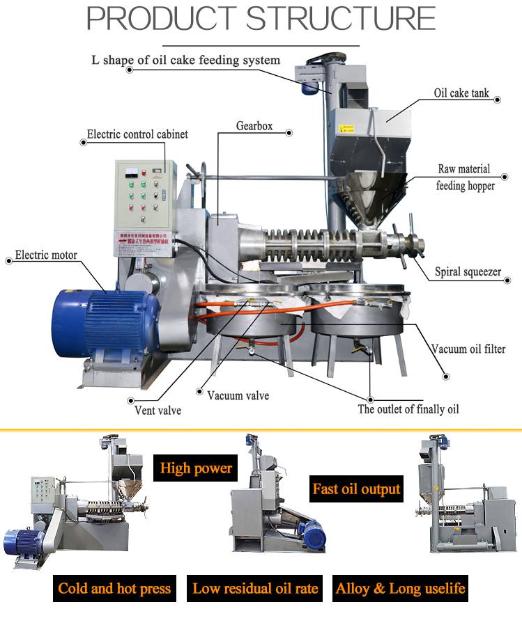 Screw press oil machine
