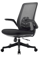 Workstation Chair