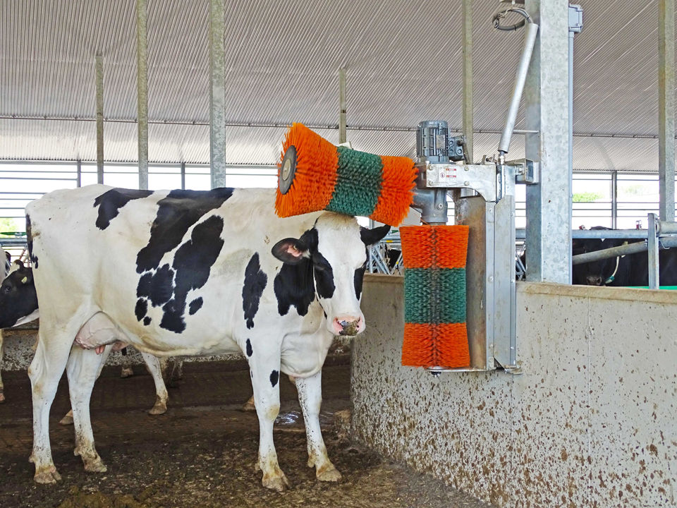 COW cleaning Roller brush