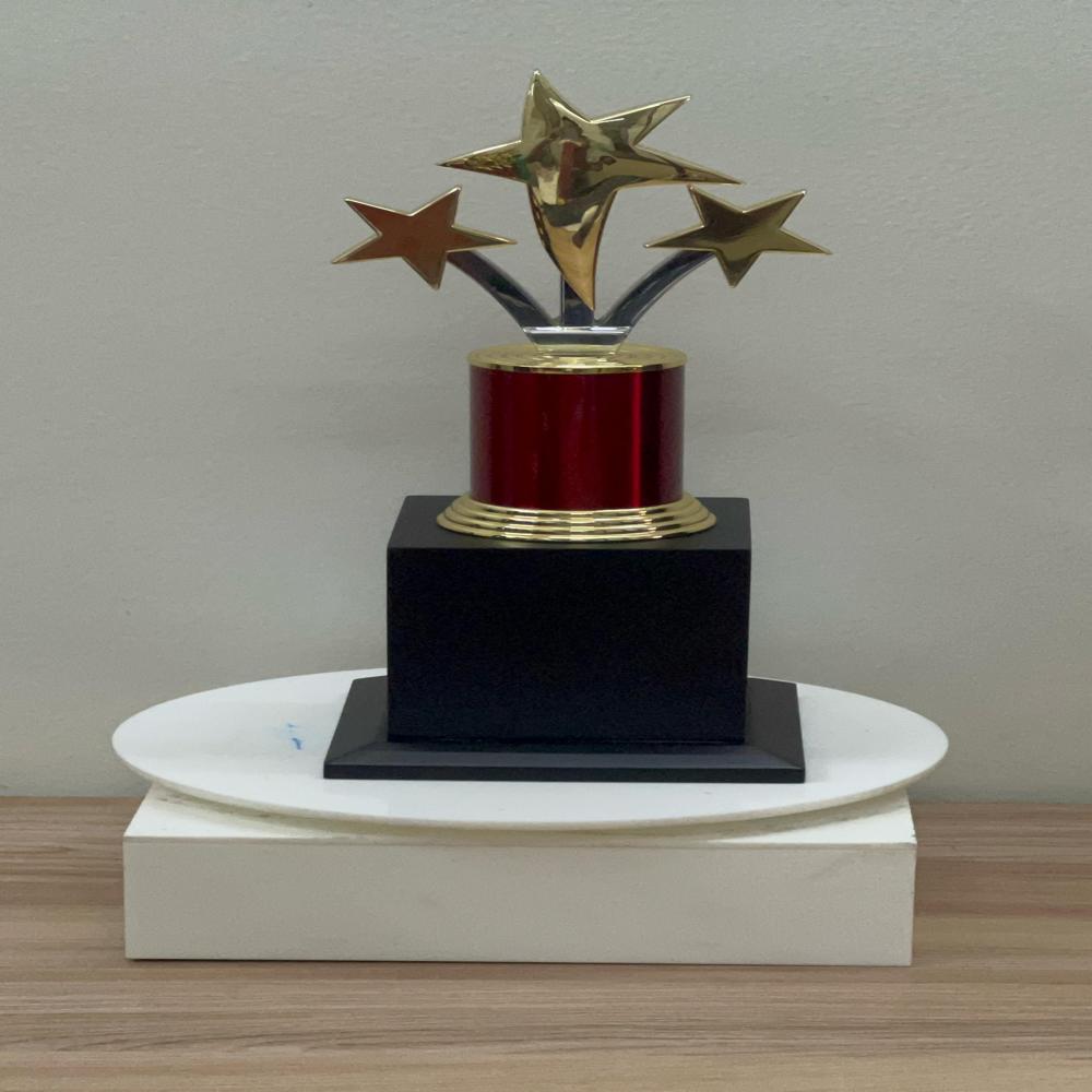 Special Corporate Trophies
