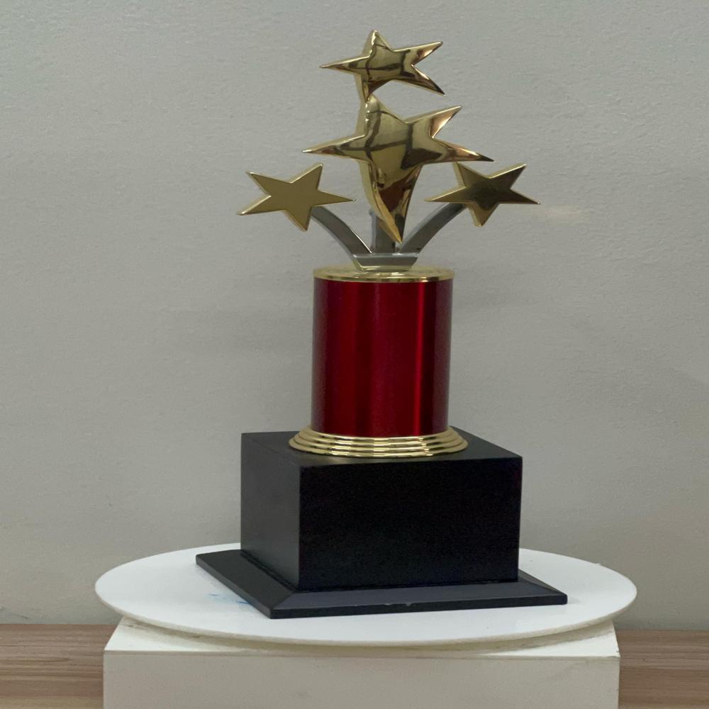 Special Corporate Trophies