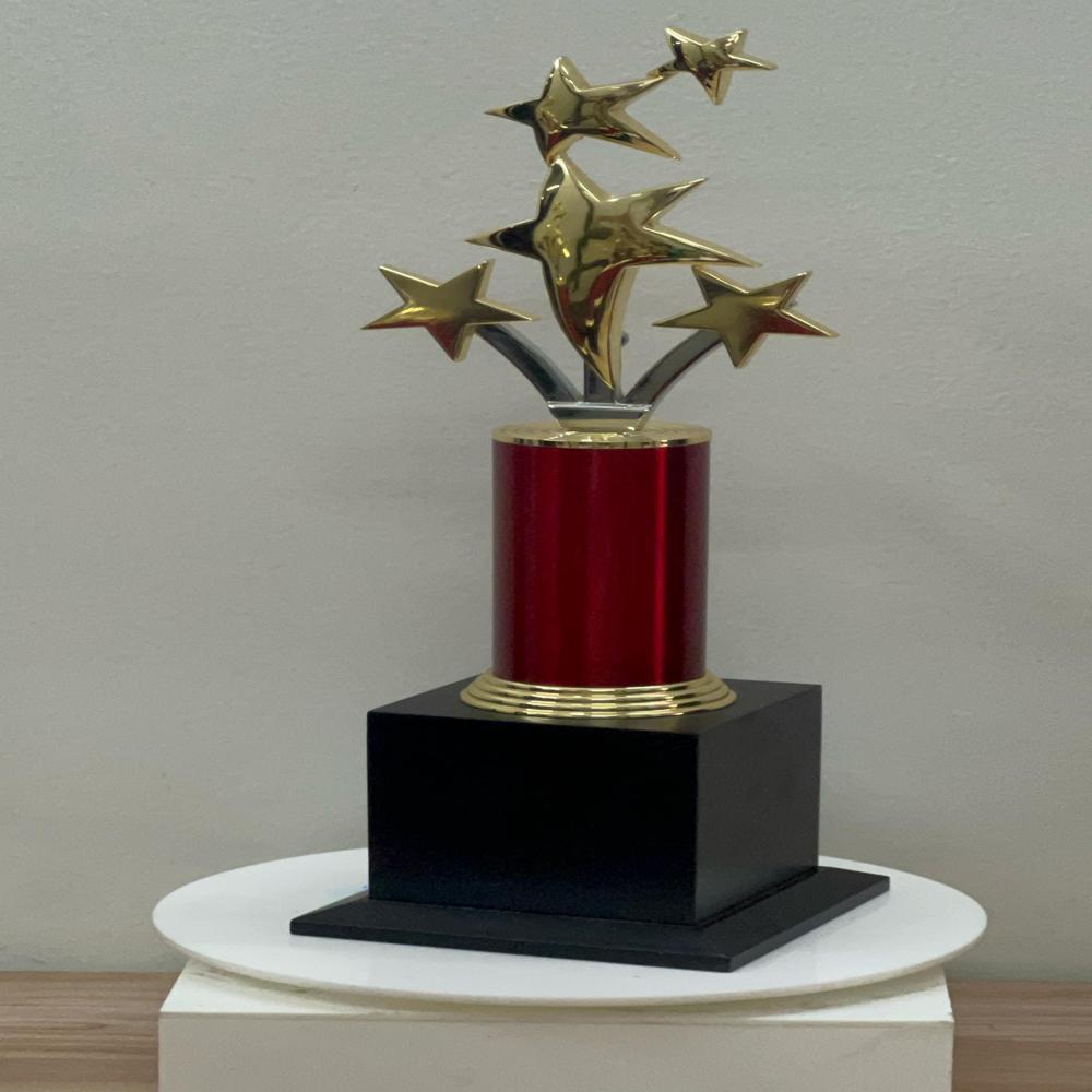 Special Corporate Trophies
