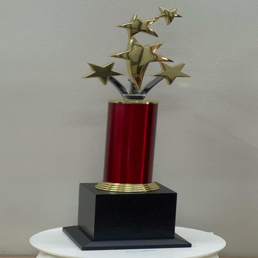Special Corporate Trophies