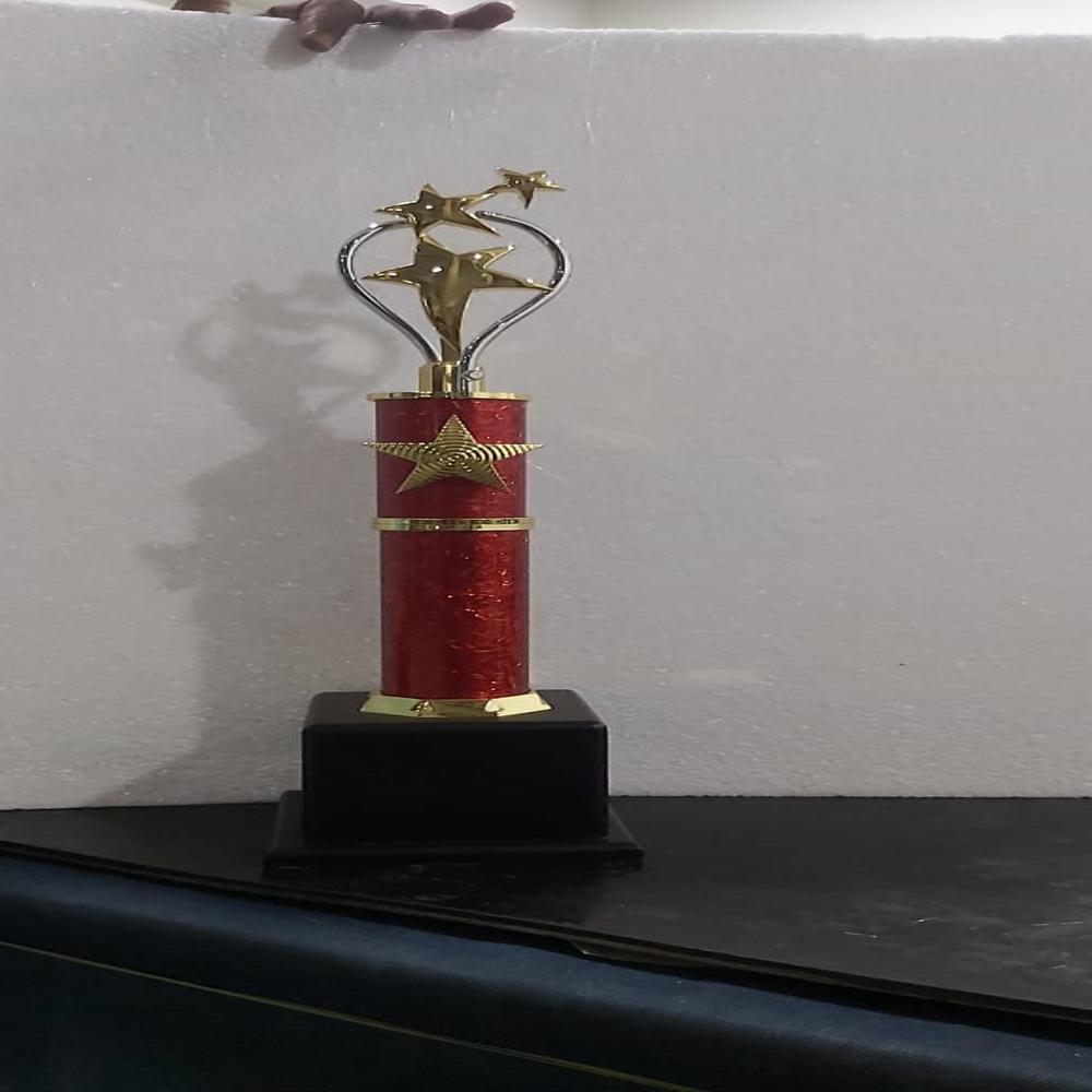  Gold Plated Trophies
