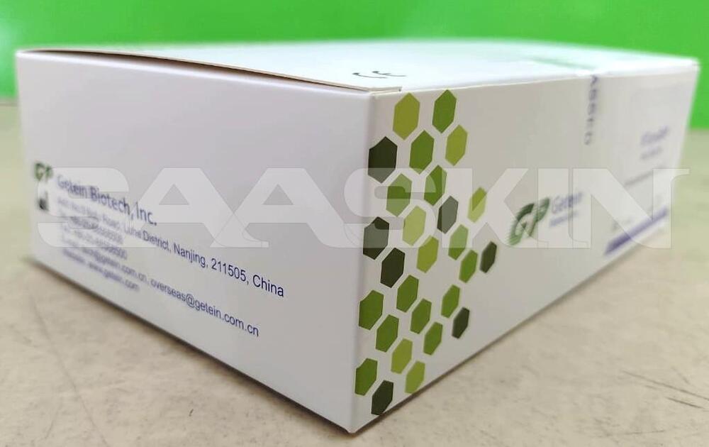 Getein NT-proBNP Fast Test Kit