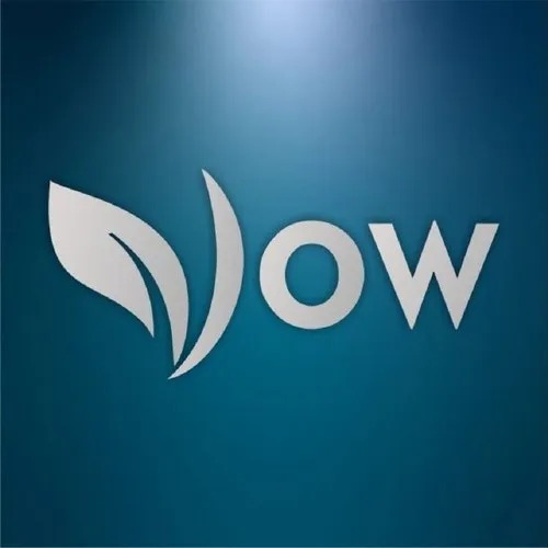 Customized Logo Design