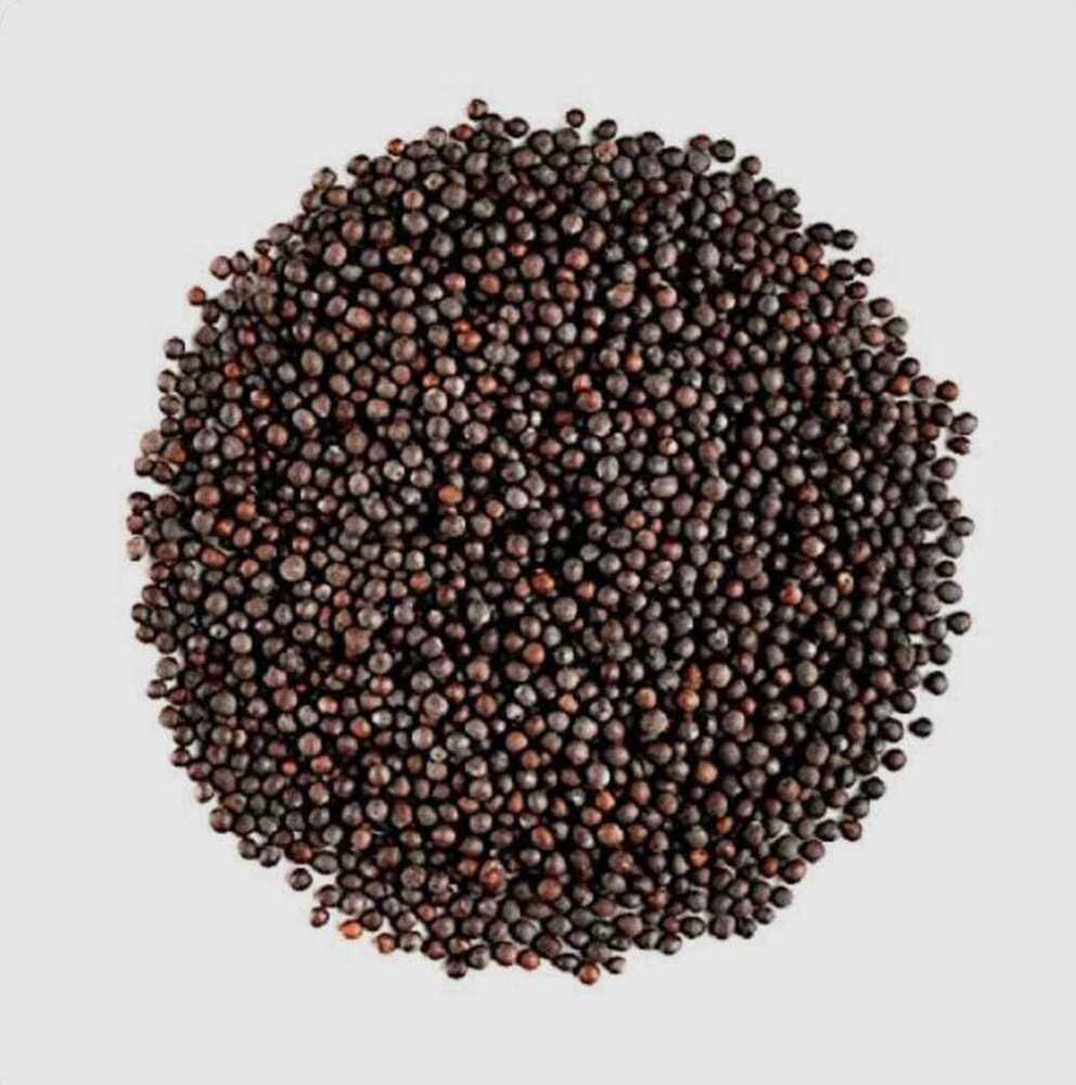 Black Mustard Seeds - Color: Brown