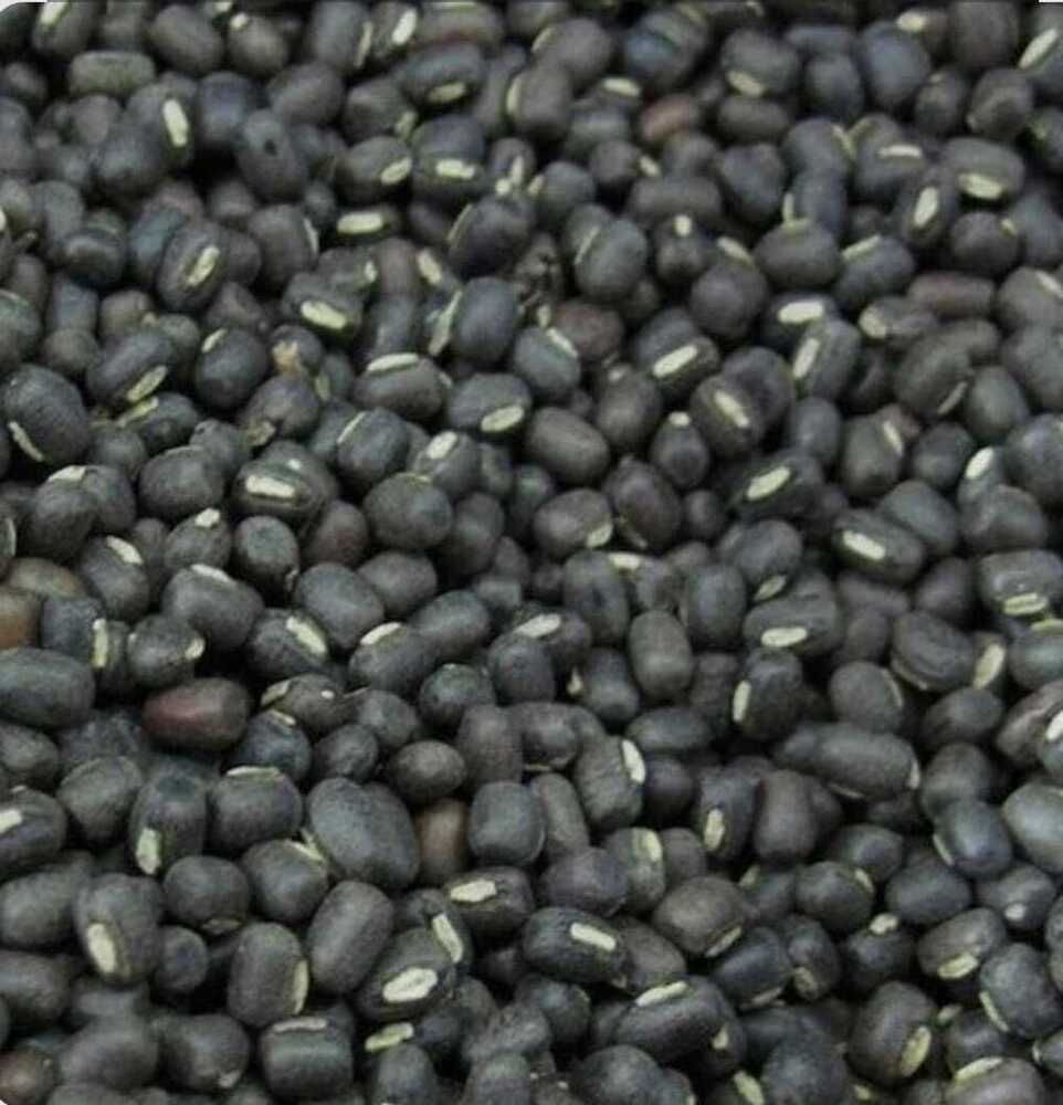 Whole Urad Dal - Color: Black