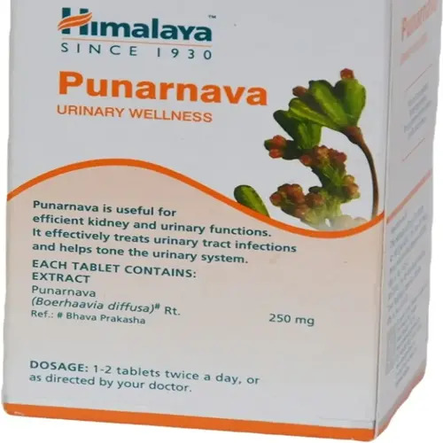 Ayurvedic Kidney Medicine