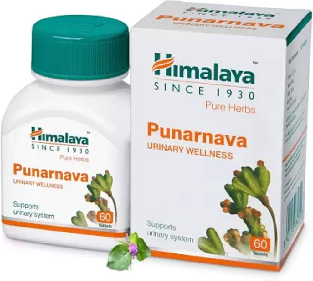 Ayurvedic Kidney Medicine