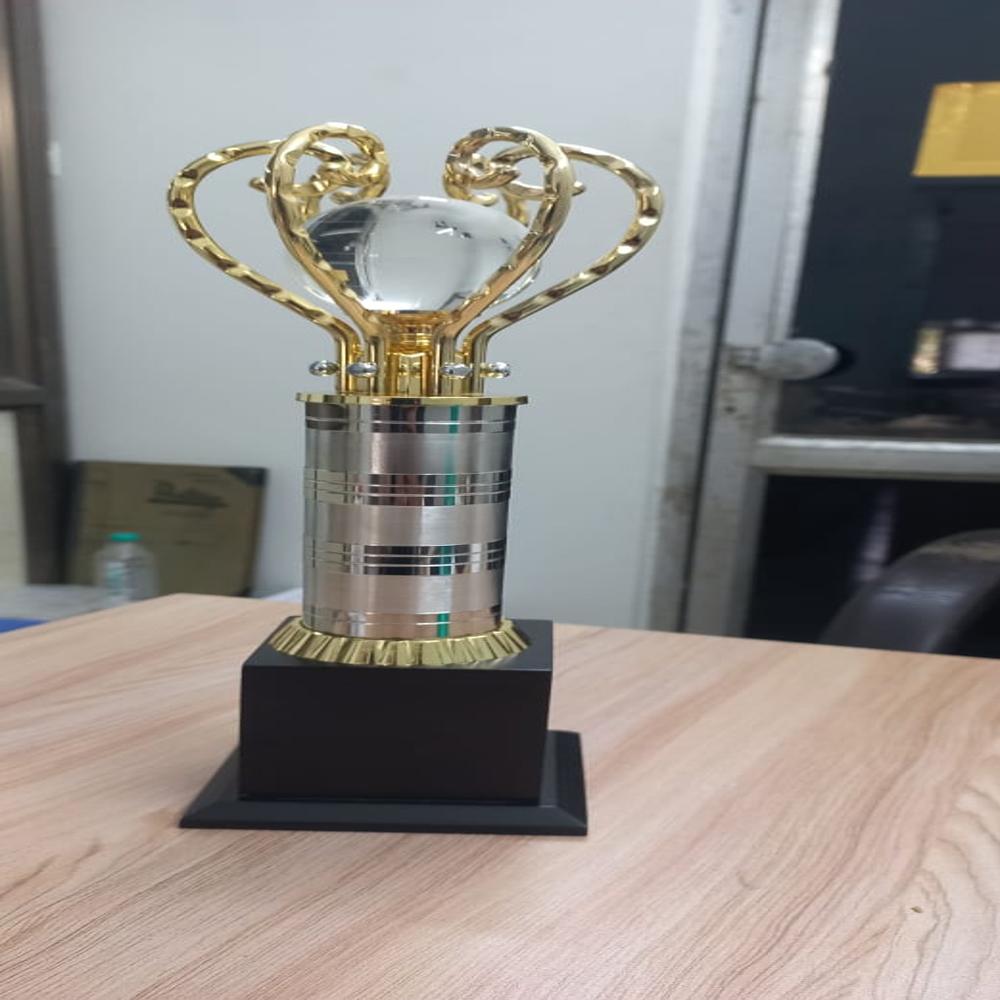Cricket Crystal Glob Trophies