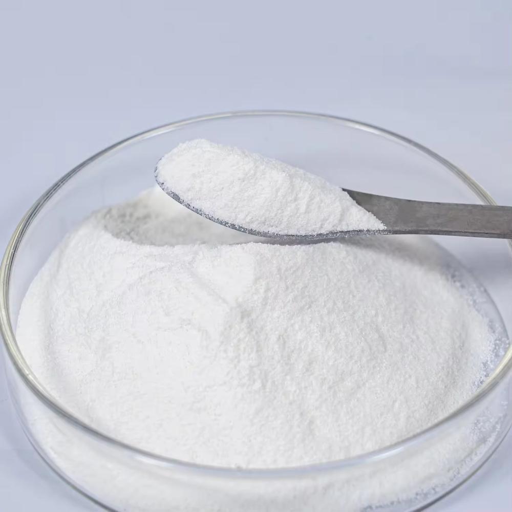 L CARNITINE
