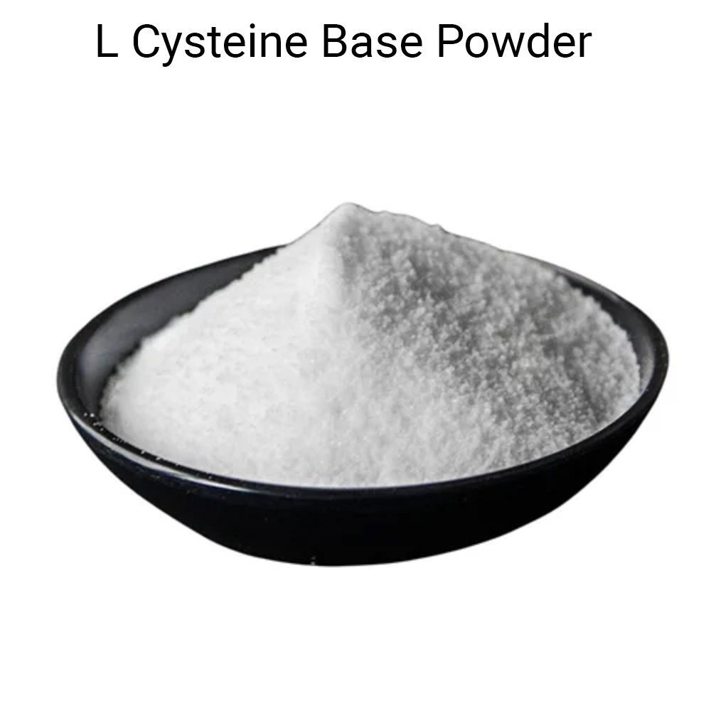 L-cysteine Base - Avanscure Lifesciences Pvt. Ltd