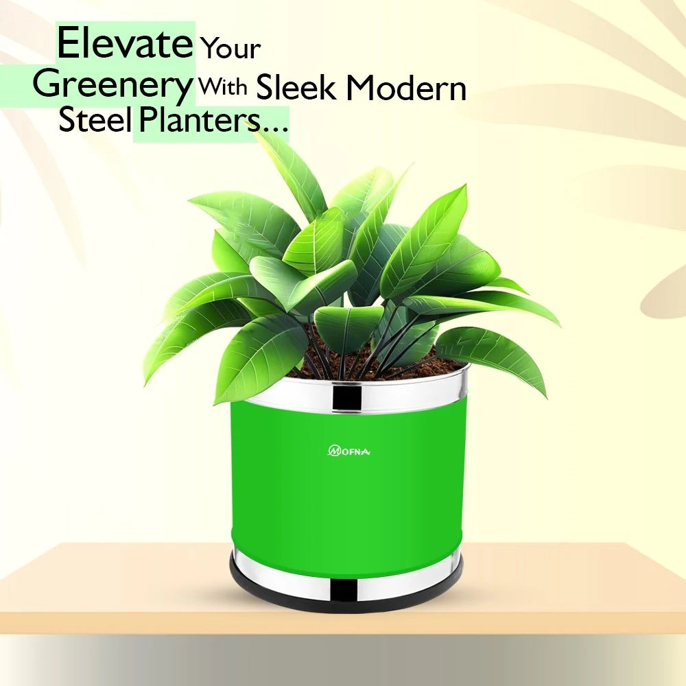 Mofna Stainless Steel Green Planter (16x16)