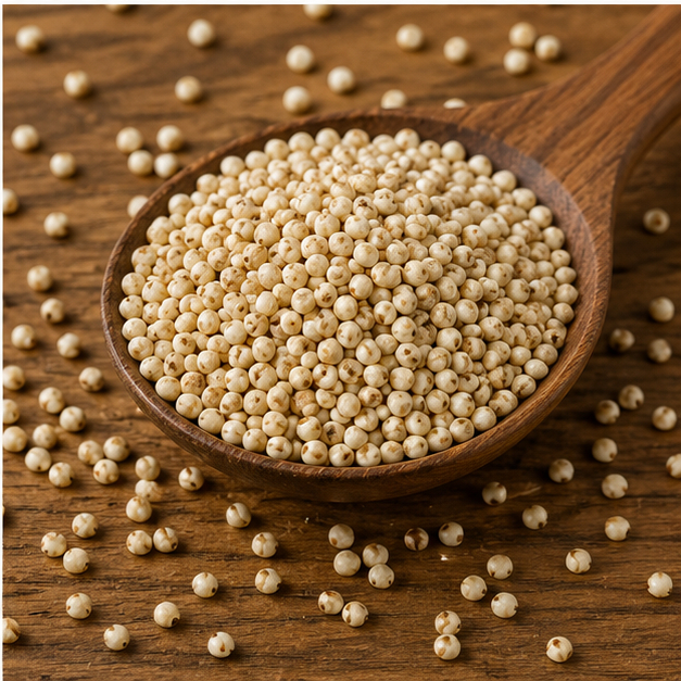 White Sorghum Millet Seeds