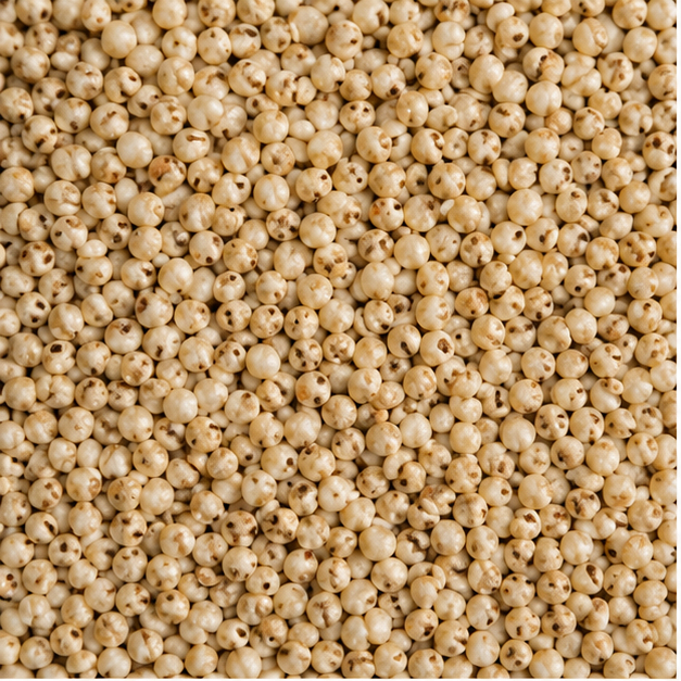 White Sorghum Millet Seeds